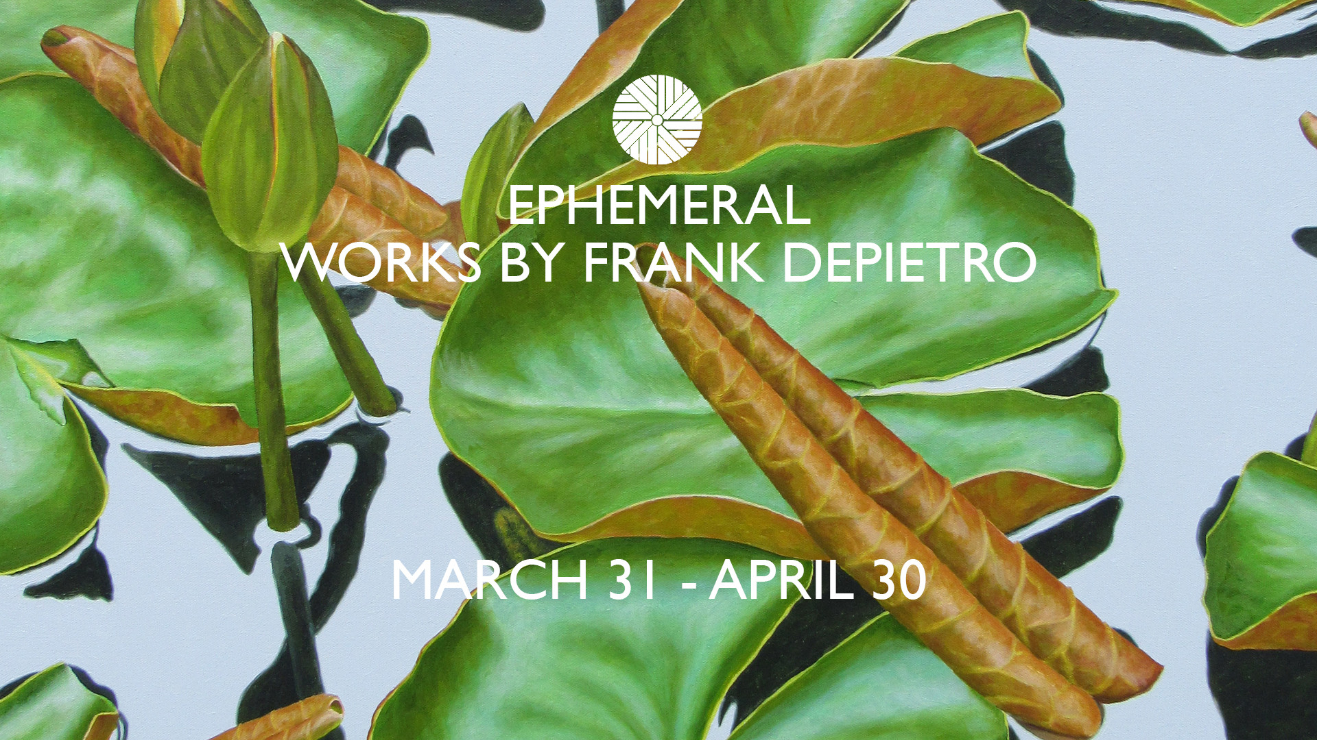 Frank DiPietro Homepage